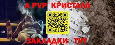 индика Гатчина