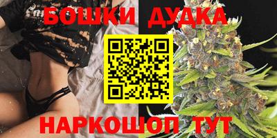 индика Гатчина