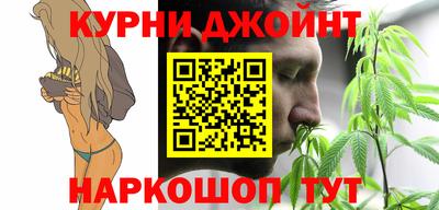индика Гатчина