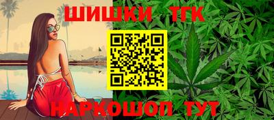 индика Гатчина