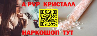 индика Гатчина