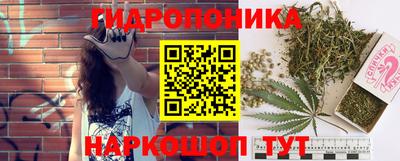 индика Гатчина