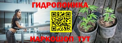 эйфоретик Гай
