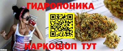 эйфоретик Гай