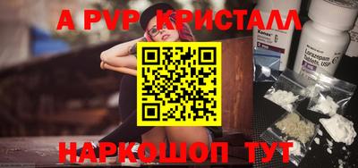 индика Гатчина