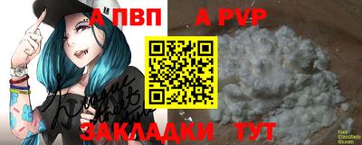 эйфоретик Гай