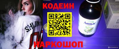 индика Гатчина