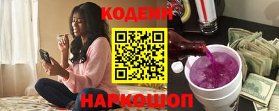 индика Гатчина