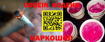 индика Гатчина