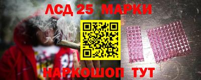 индика Гатчина