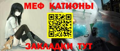 индика Гатчина