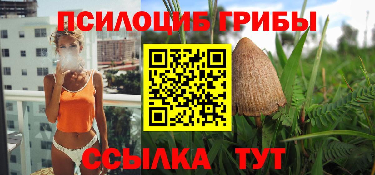 Псилоцибиновые грибы мухоморы Каменск-Шахтинский